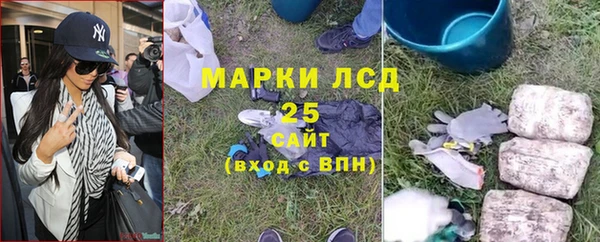 прущие грибы Богородицк