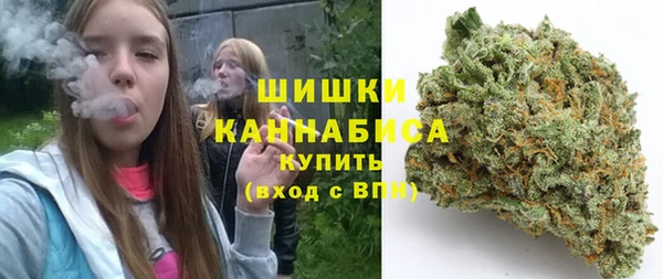 гидропоника Богданович
